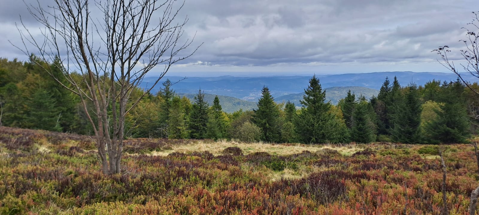 Wycieczka w Beskid Mały na Leskowiec 
