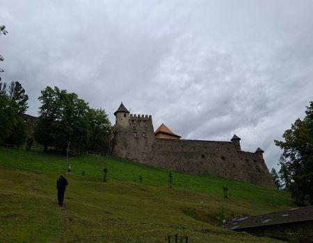 17891