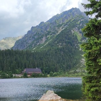 img 20250809